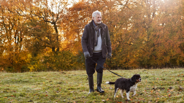 Dagliga promenader halverar risken för svår stroke